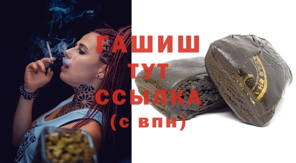 крисы Мегион