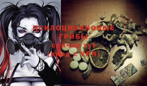 прущая мука Медвежьегорск