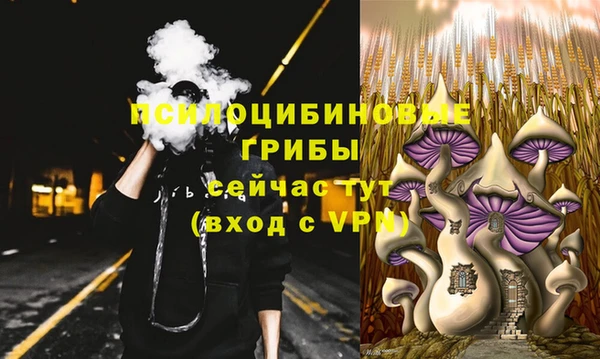 крисы Мегион