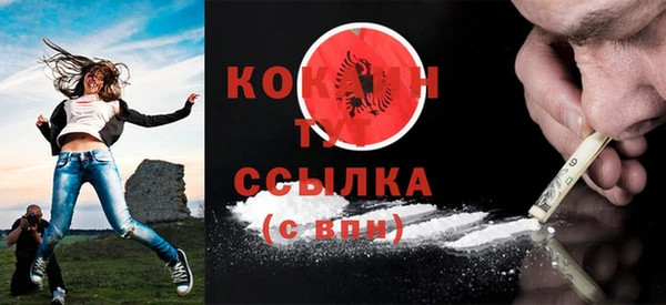крисы Мегион