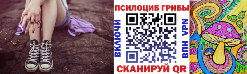 сайты даркнета наркотические препараты  Таганрог  Галлюциногенные грибы Psilocybine cubensis 