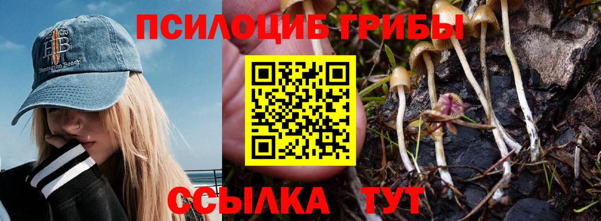 Меф МЯУ МЯУ кристаллы  Таганрог  COCAIN  Вход с VPN  Канабис 