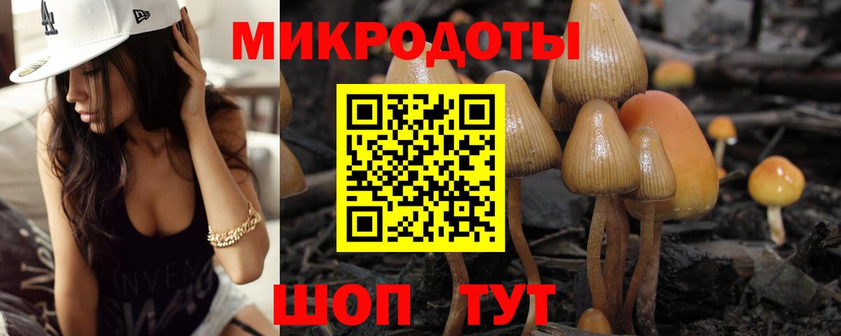 купить закладку  Галлюциногенные грибы MAGIC MUSHROOMS  Вход с VPN  Таганрог 